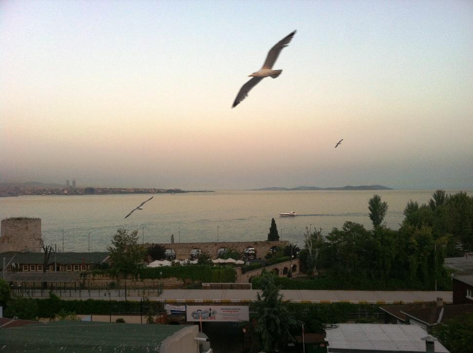 Spinel Hotel Provincia di Provincia di Istanbul Esterno foto